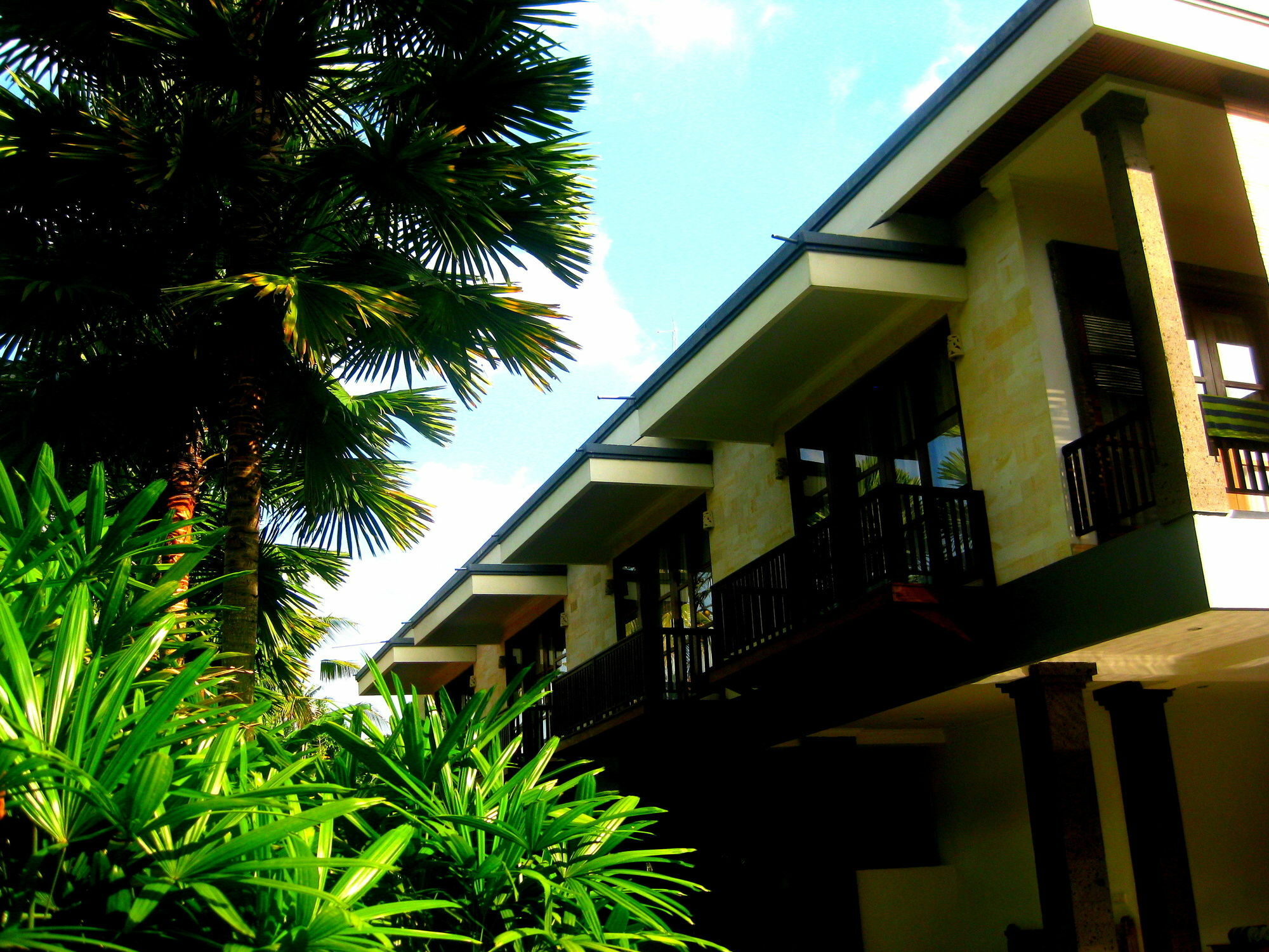 Villa Sonia Bisma Ubud Eksteriør billede