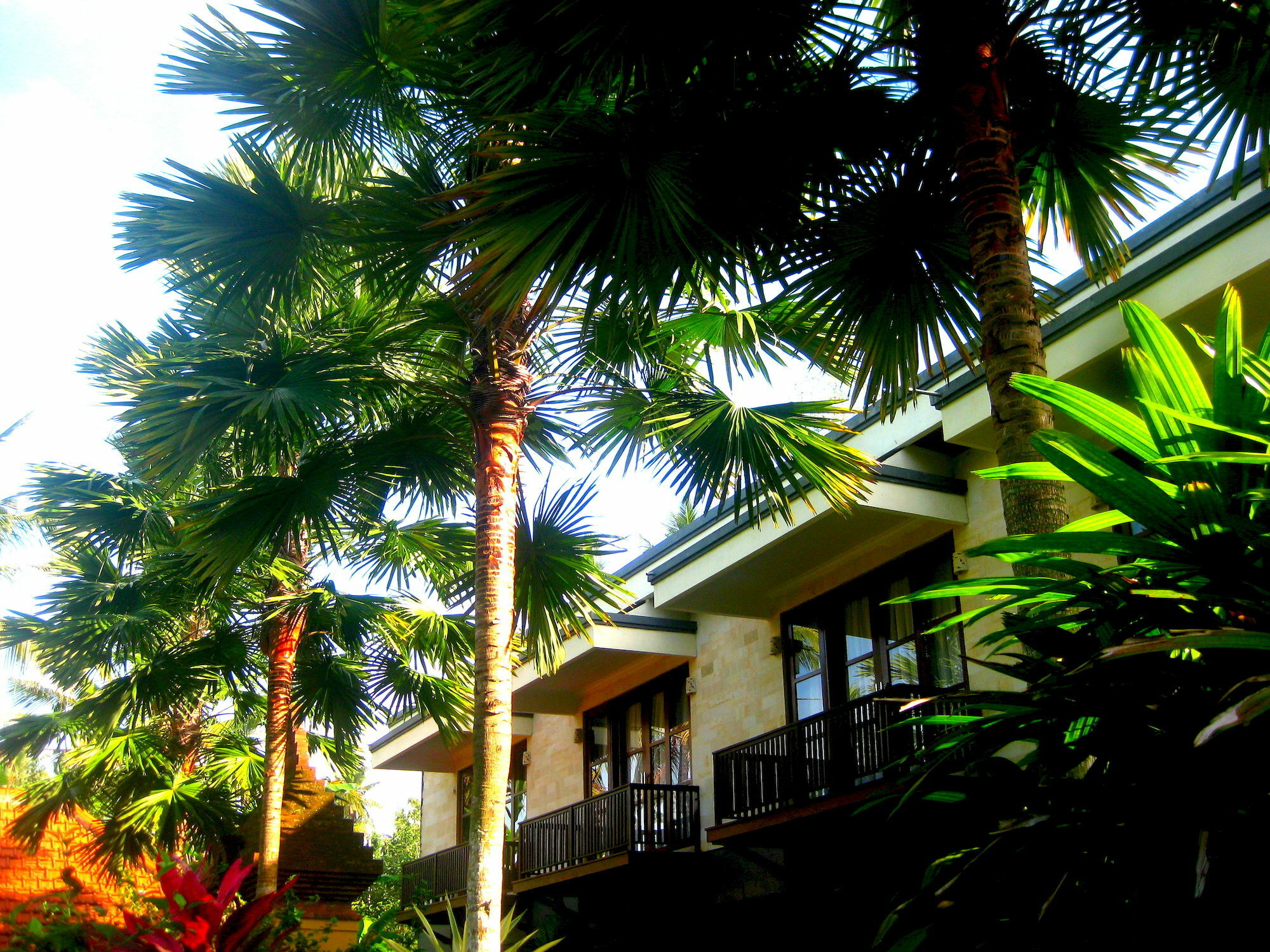 Villa Sonia Bisma Ubud Eksteriør billede