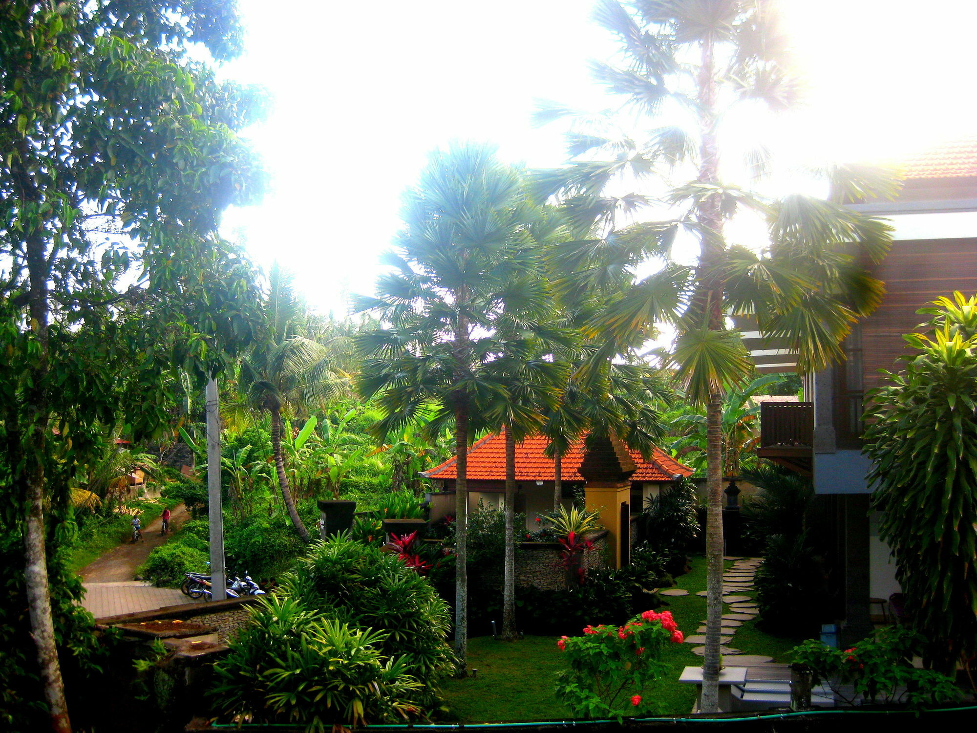 Villa Sonia Bisma Ubud Eksteriør billede