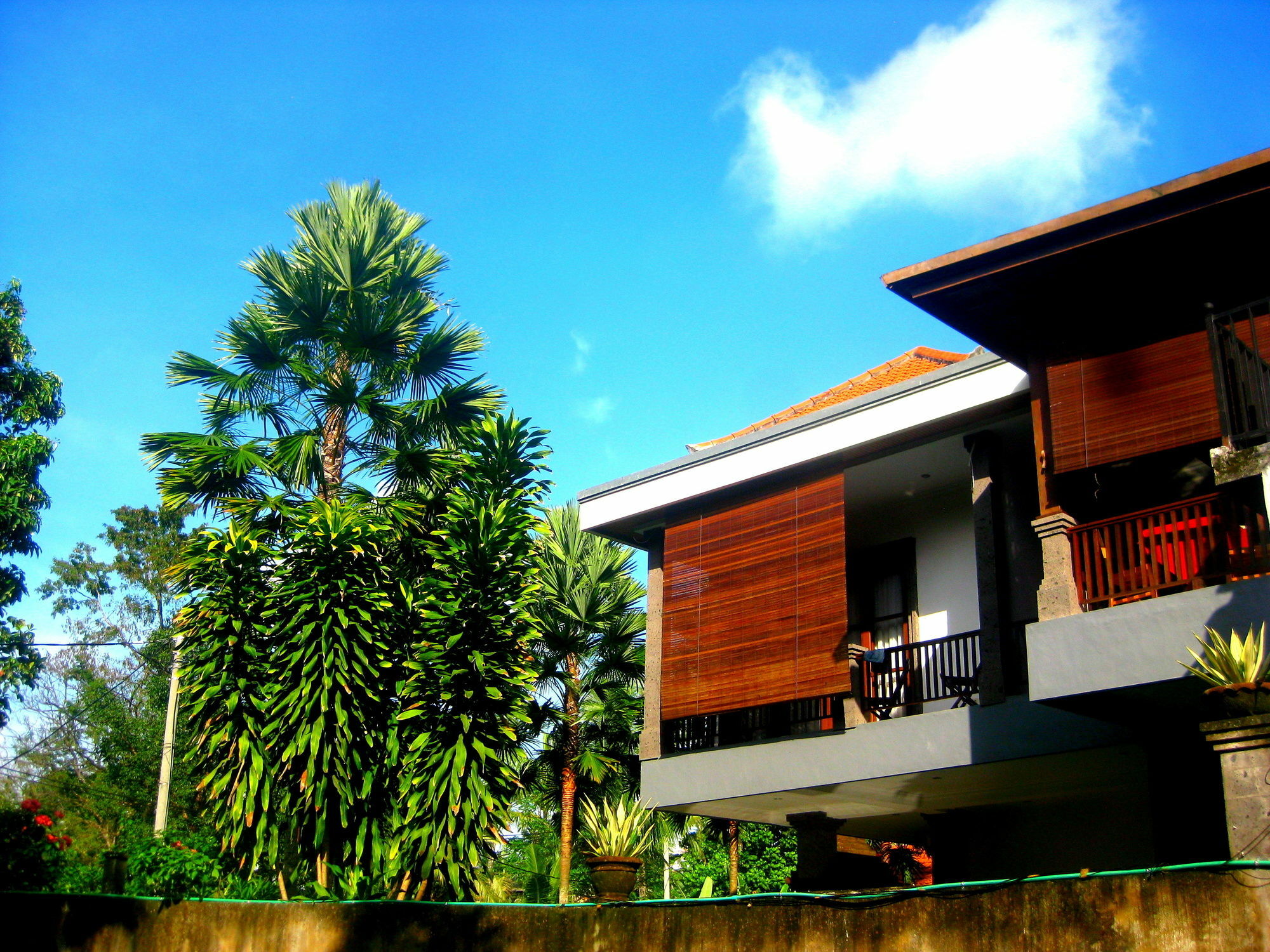 Villa Sonia Bisma Ubud Eksteriør billede